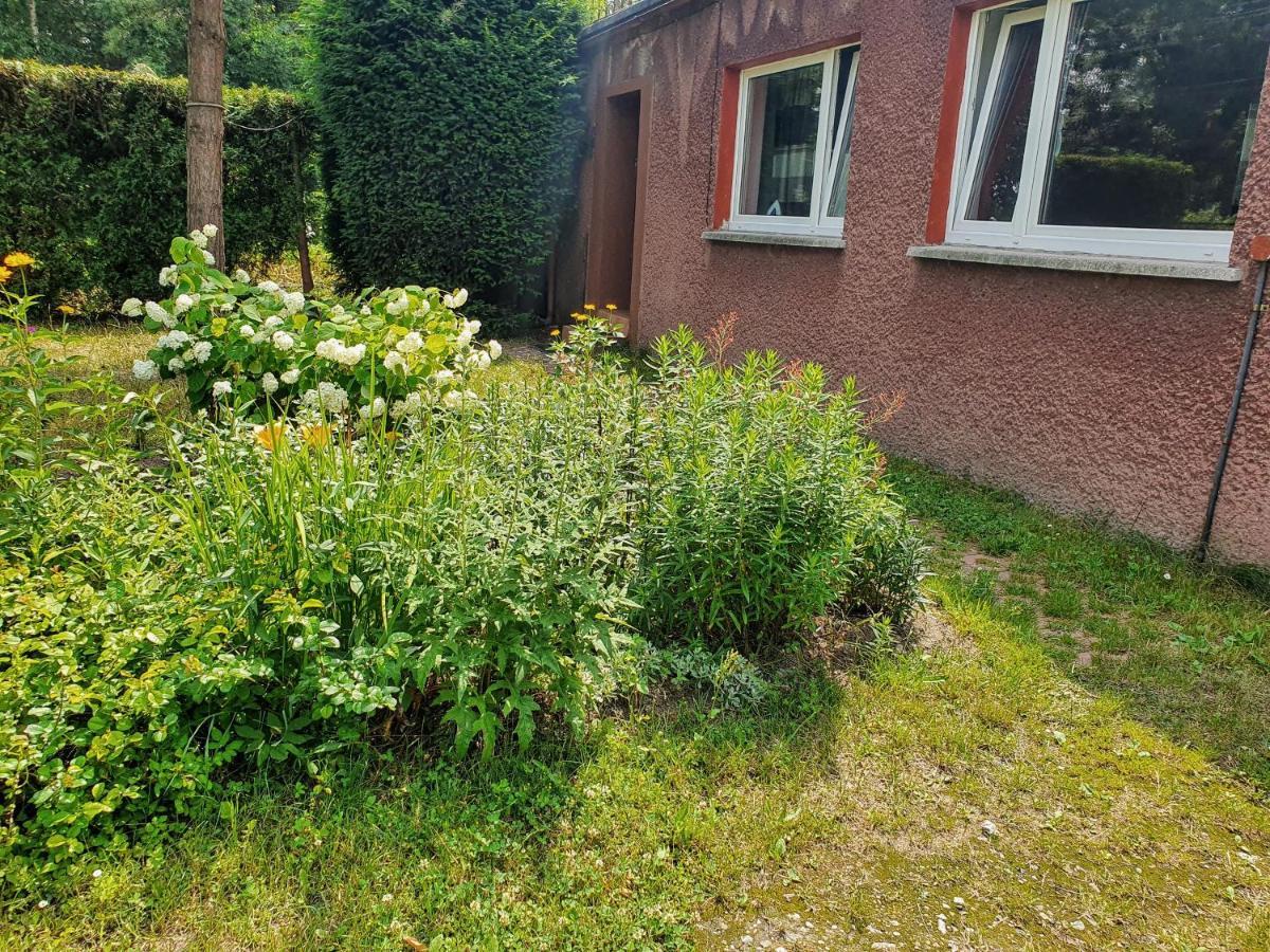 Apartament U Ani Przeczyce Eksteriør bilde
